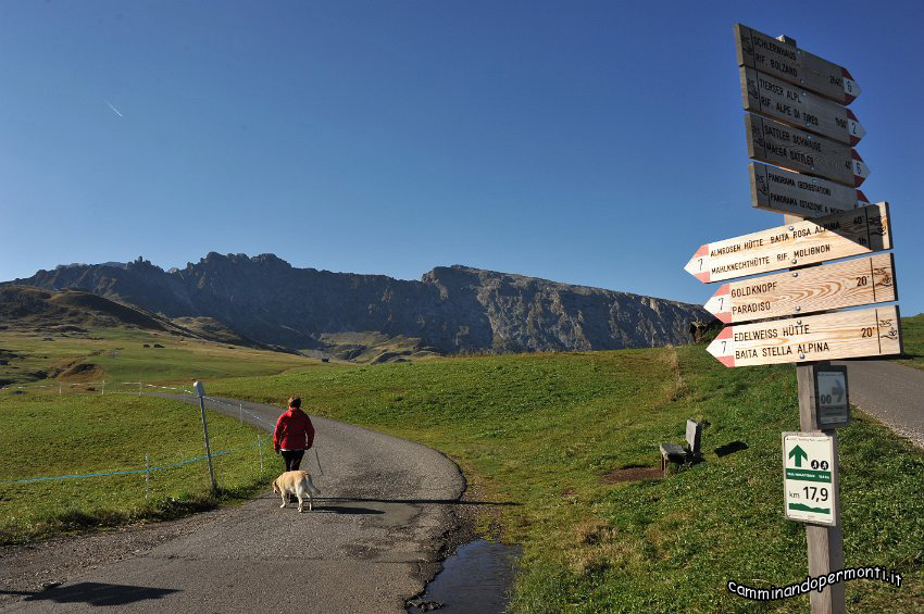 011 Sentiero 7 - Direzione Rifugio Molignon.JPG